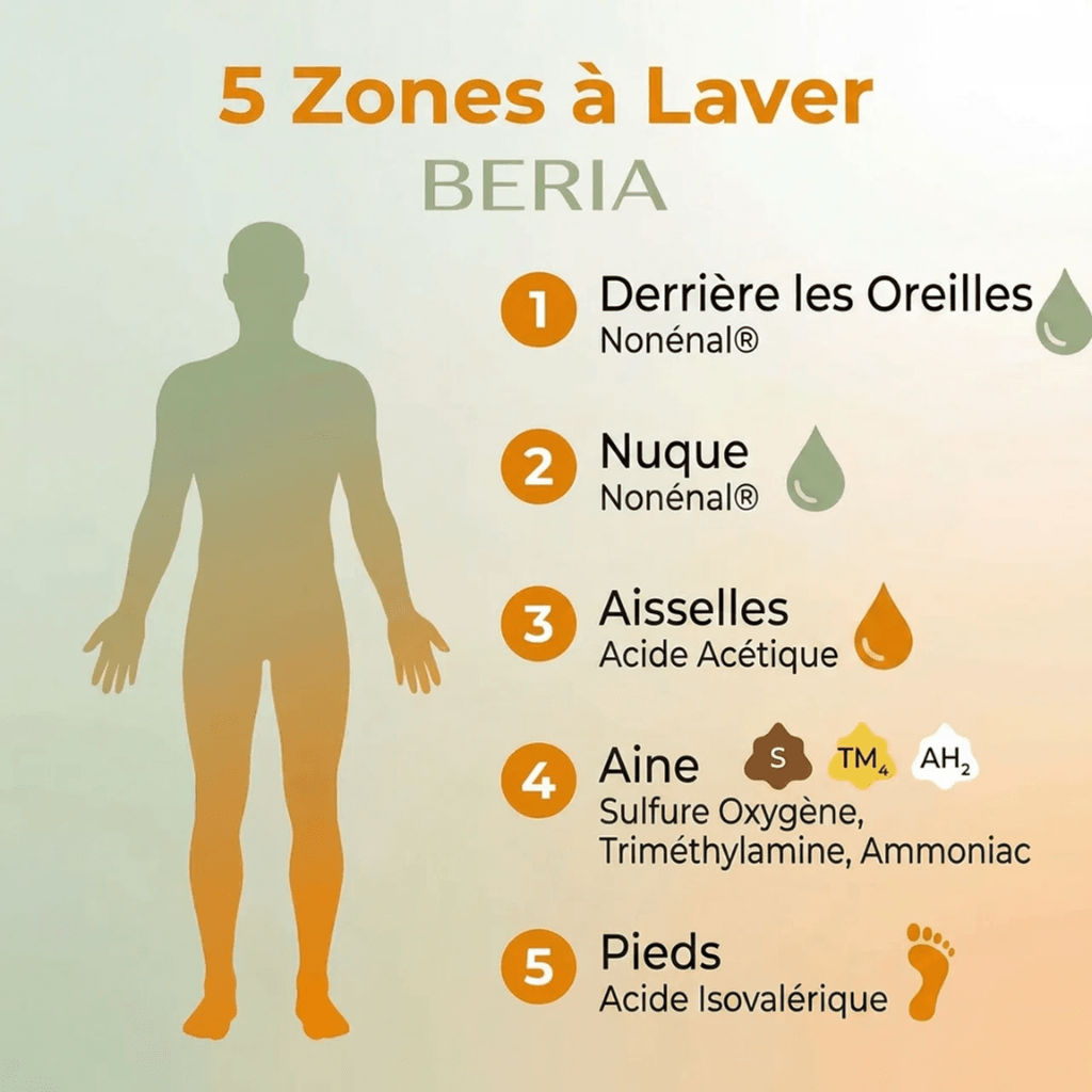 Beria Persimmon Soap - Élimine Les Odeurs Liées Au Vieillissement