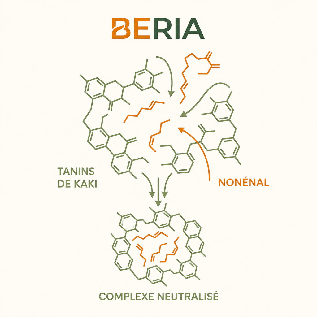 Beria Persimmon Soap - Élimine Les Odeurs Liées Au Vieillissement