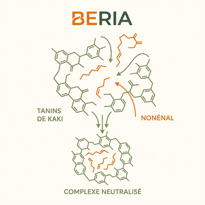 Beria Persimmon Soap - Élimine Les Odeurs Liées Au Vieillissement